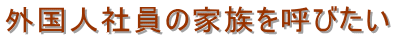 横浜入国管理局・就労ビザ申請・横浜入国管理局・横浜・就労ビザ・横浜・入国管理局・就労ビザ申請